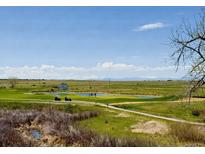 Scenic golf course view with green fairways, a pond, and mountain backdrop under a partly cloudy sky at 1957 S Coolidge Way, Aurora, CO 80018