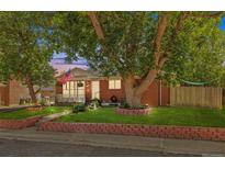 Charming brick home featuring a spacious front yard with mature trees and classic curb appeal at 1922 Graves Ct, Northglenn, CO 80233