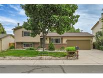 Inviting home features a manicured lawn and a large tree that provides shade and curb appeal at 10301 Owens Cir, Broomfield, CO 80021
