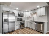 Modern kitchen with stainless steel appliances, white cabinetry, and stylish backsplash at 1697 S Cole St # B5, Lakewood, CO 80228