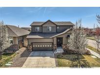 Charming two-story home showcasing mature landscaping, a well-manicured lawn, and a neutral-tone exterior at 1421 Rustic Dr, Longmont, CO 80504