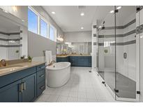 Luxurious bathroom featuring a standalone tub, double vanity, and a spacious glass-enclosed shower at 14341 Beebalm Loop, Parker, CO 80134