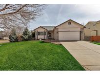 Charming single-Gathering home featuring a well-manicured lawn, two-car garage, and a welcoming front entrance at 2132 Boise Ct, Longmont, CO 80504