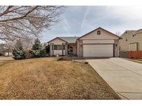 Charming ranch-style home with an attached two-car garage and well-maintained front yard at 2132 Boise Ct, Longmont, CO 80504