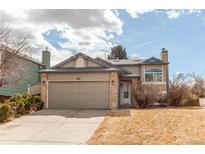 Charming two-story home with attached two car garage and well-manicured front yard at 9182 Weeping Willow Ct, Highlands Ranch, CO 80130