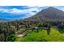 Scenic aerial view of a lush property with rolling green meadows, mature trees, and mountain backdrop at 8537 S Doubleheader Hwy, Morrison, CO 80465