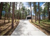 Long concrete driveway leads to a modern detached garage, surrounded by tall trees at 14546 Pine View Rd, Larkspur, CO 80118