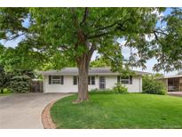 Charming single-story home with a well-manicured lawn and mature shade tree at 1325 S Grape St, Denver, CO 80222