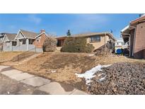 Ranch style home with a large front yard at 2730 N Columbine St, Denver, CO 80205