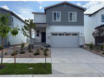 Charming two-story home featuring a gray exterior, two-car garage, and a well-maintained front yard at 2169 Flower Blossom Ave, Brighton, CO 80601
