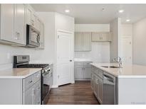 Modern kitchen featuring stainless steel appliances, gray cabinets, and a spacious countertop at 2169 Flower Blossom Ave, Brighton, CO 80601
