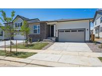 Charming single-Gathering home with a two-car garage and manicured front yard at 9061 Telluride Ct, Commerce City, CO 80022