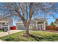 Charming home with well-maintained front yard and large tree offering shade and curb appeal at 971 Parsons Ave, Castle Rock, CO 80104