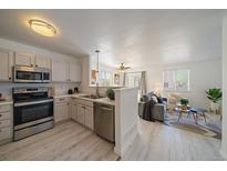 Bright and airy living room featuring a modern kitchen with stainless steel appliances and an open floor plan at 4437 Cornish Way, Denver, CO 80239