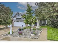 Charming single-Gathering home with a beautifully landscaped front yard and welcoming curb appeal at 1013 E 130Th Dr, Thornton, CO 80241