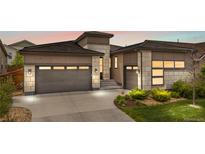 Inviting two-story home with a two-car garage, stone accents, and manicured landscaping at 11193 Mission Walk St, Parker, CO 80134