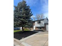 Charming home with a well-manicured lawn and fresh landscaping including mature trees at 10630 Routt Way, Broomfield, CO 80021