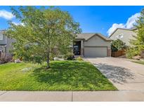 Charming single-Gathering home featuring a well-manicured lawn and mature tree at 2333 Paint Pony Cir, Castle Rock, CO 80108