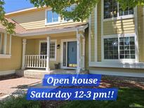Inviting front porch with classic white columns and a blue front door ready for an open house at 9346 Lark Sparrow Dr, Highlands Ranch, CO 80126
