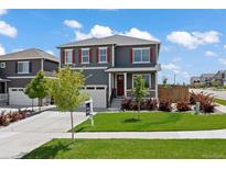 Charming two-story home features a well-manicured lawn, red shutters, and a welcoming front porch at 14100 Shasta Daisy St, Parker, CO 80134