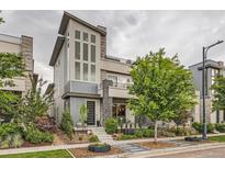 Stunning modern home with unique architectural details and professional landscaping enhances curb appeal at 6058 Beeler Ct, Denver, CO 80238
