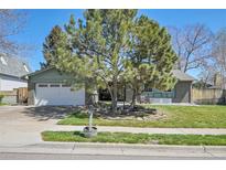 Charming ranch-style home featuring mature trees, a well-maintained lawn, and an attached two-car garage at 8468 Chase Dr, Arvada, CO 80003