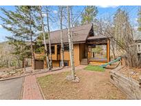 Charming brown two-story home with a quaint front yard and a delightful slide at 13609 Elsie Rd, Conifer, CO 80433
