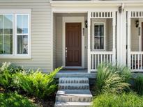 Inviting front entrance with a brown door, white trim, and well-maintained landscaping at 1649 Marquette Aly, Erie, CO 80516