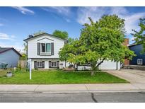 Charming two-story home with a manicured lawn and mature tree offering curb appeal at 10972 Fairfax Ct, Thornton, CO 80233