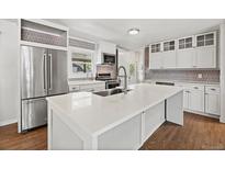 Bright kitchen features a large island, stainless steel appliances, and stylish backsplash at 741 S 6Th Ave, Brighton, CO 80601
