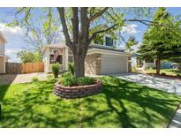 Beautifully landscaped front yard features lush green grass, a mature shade tree, and stone accents on the home's facade at 1462 Marigold Dr, Lafayette, CO 80026