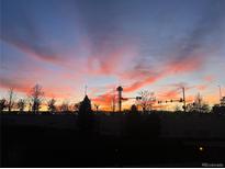 Stunning colorful sunset view with silhouetted trees against a vibrant sky at 1438 Little Raven St # 306, Denver, CO 80202