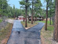 Long driveway leads to a home with a porch, garage, and is surrounded by dense mature trees at 4305 Red Rock Dr, Larkspur, CO 80118