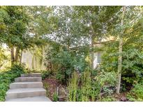 Charming home entrance featuring concrete steps and surrounded by lush greenery and mature trees at 8888 W 37Th Pl, Wheat Ridge, CO 80033
