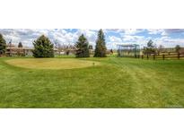 Scenic view of a lush green golf course with mature trees and well-maintained putting greens at 750 S Clinton St # 6B, Denver, CO 80247