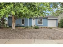 Charming blue single-story home with a well-maintained front yard and mature shade tree at 3224 S Dudley St, Lakewood, CO 80227