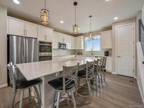 Bright kitchen featuring a large island with pendant lighting and stainless steel appliances at 2468 Channel Dr, Highlands Ranch, CO 80129