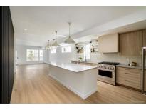 Bright kitchen with quartz countertops, stainless steel appliances, light wood floors, and open shelving at 2738 N Clay St, Denver, CO 80211