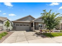 Charming home featuring a gray exterior, well-maintained landscaping, and a two-car garage at 15802 Xanthia Way, Thornton, CO 80602