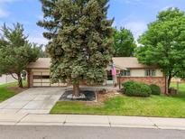 Charming single-Gathering home with a manicured front yard and large shade tree at 8198 E Lehigh Dr, Denver, CO 80237