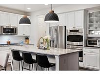 Bright kitchen with white cabinets, stainless steel appliances, and a large center island with pendant lighting at 10546 Sundial Rim Rd, Highlands Ranch, CO 80126