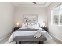 Relaxing bedroom featuring a tray ceiling, a serene art piece, and plush bedding, creating a peaceful retreat at 8183 S Yosemite Ct, Centennial, CO 80112