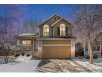 Charming two-story home with a two-car garage and a well-maintained front yard at 11083 Quail Ct, Parker, CO 80134