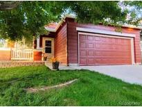 Charming single Gathering home with a well manicured lawn and a spacious two car garage at 8754 Snowbird Way, Parker, CO 80134