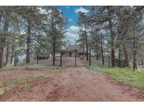 Long gravel driveway up to a black gated entrance to property surrounded by mature trees at 1150 Madge Gulch Rd, Sedalia, CO 80135