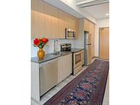 Well-lit kitchen featuring stainless steel appliances and wood cabinetry, and a stylish rug at 603 Inca St # 429, Denver, CO 80204