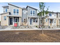 Charming modern townhomes featuring stylish exteriors, well-manicured landscaping, and welcoming front porches at 1368 Penner Dr, Erie, CO 80026