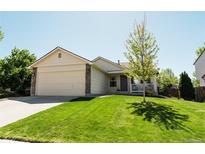 Charming single-Gathering home featuring a well-manicured lawn and two-car garage at 4172 Deer Watch Dr, Castle Rock, CO 80104