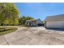 Ranch style home with a large driveway and mature tree in the front yard at 18128 Sage Brush Way, Brighton, CO 80603