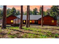 Charming cabin-style home with wood siding, metal roof, and inviting greenery at 12655 Greenland Acres Rd, Larkspur, CO 80118